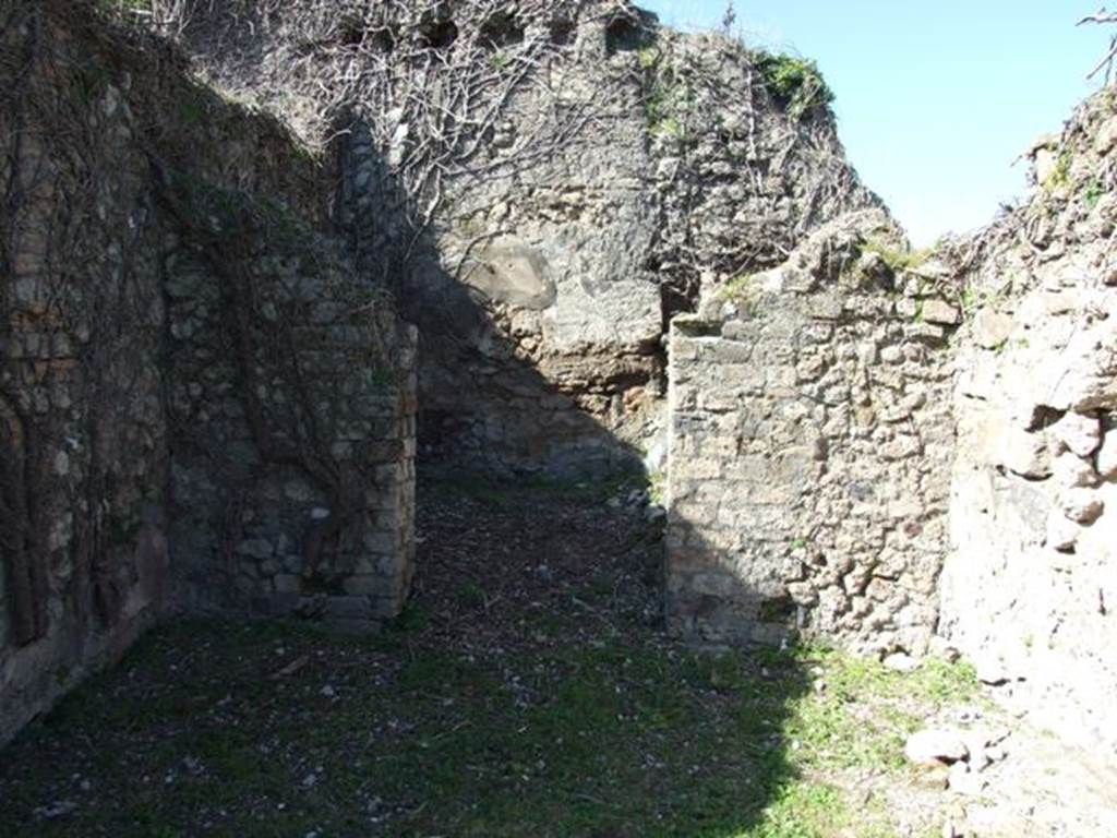 Viii Pompeii March Room Oecus West Wall